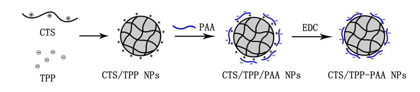 Fig. 1 ·