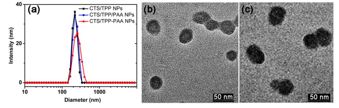 Fig. 2 ·